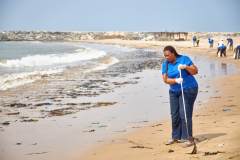 Tema Beach Cleanup